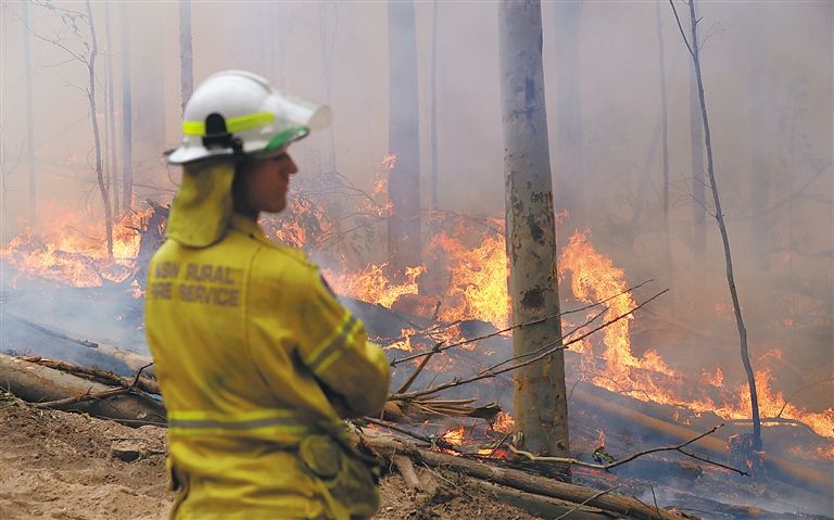 图片默认标题_fororder_近期降雨未能明显影响澳新州林火灾情