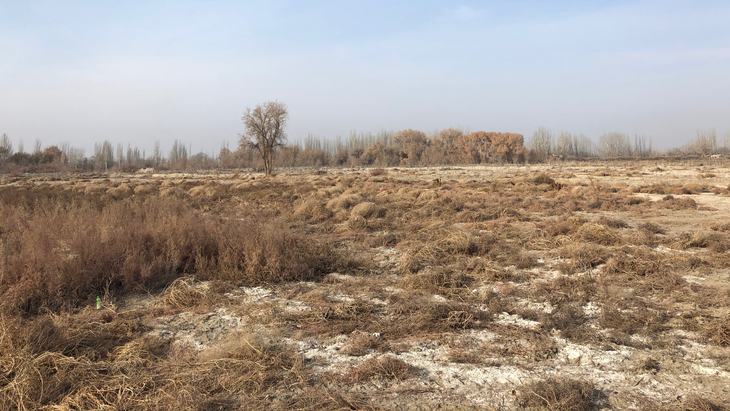 图片默认标题_fororder_The old graveyard where Aziz's father had been buried in Xayar County, northwest China's Xinjiang Uygur Autonomous Region, January 8, 2020.CGTN Photo