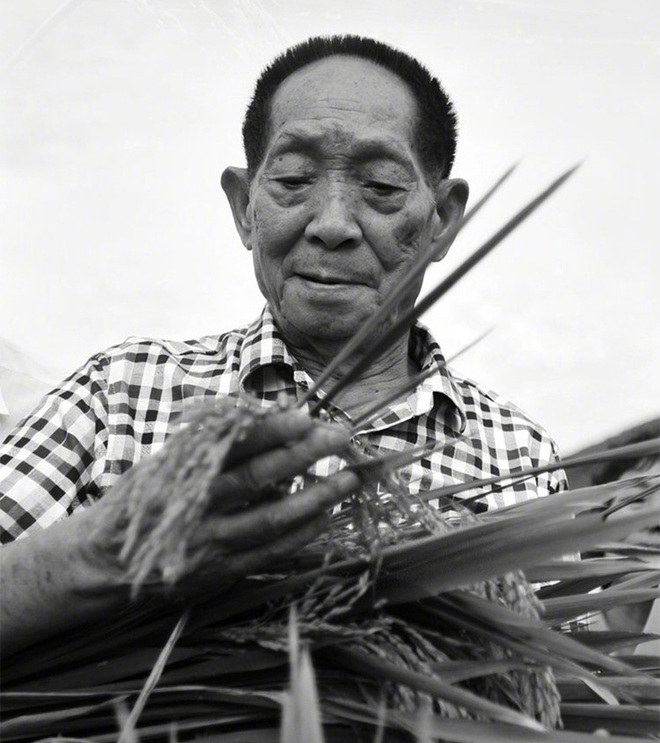 Yuan Longping, "Ama ng hybrid rice," yumao sa edad na 91_fororder_20210522ylp