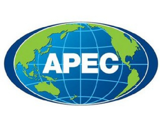 Chủ tịch nước Trung Quốc Tập Cận Bình sẽ tham dự Hội nghị Cấp cao APEC lần thứ 28_fororder_APEC