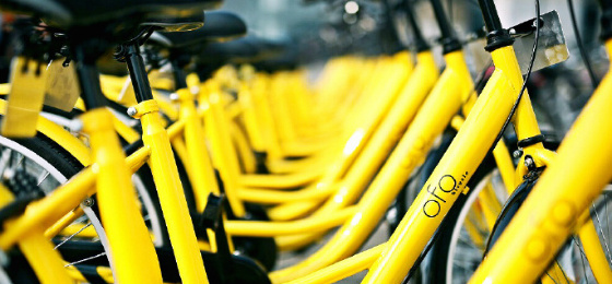 Ofo bikes [File photo: weibo.com]