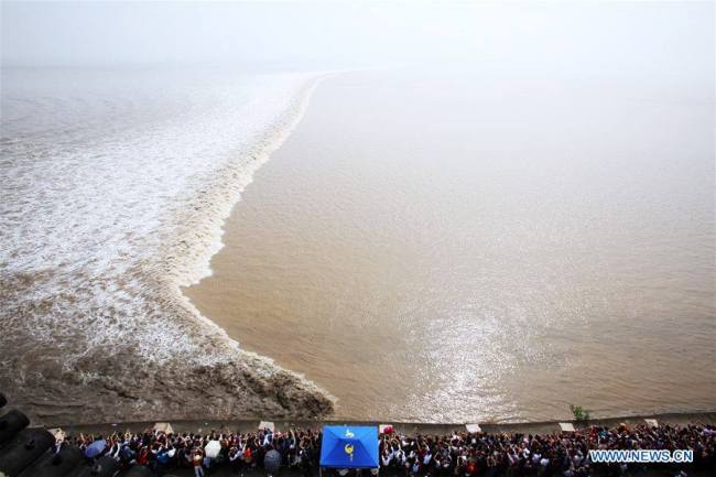 又到钱塘江观潮时 Qiantang tidal bore reaches peak