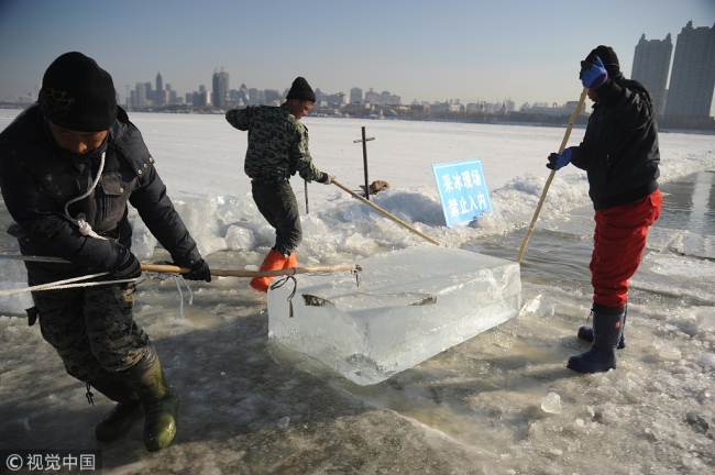 冰雪大世界开始采冰了 Ice harvest for Harbin Ice Festival