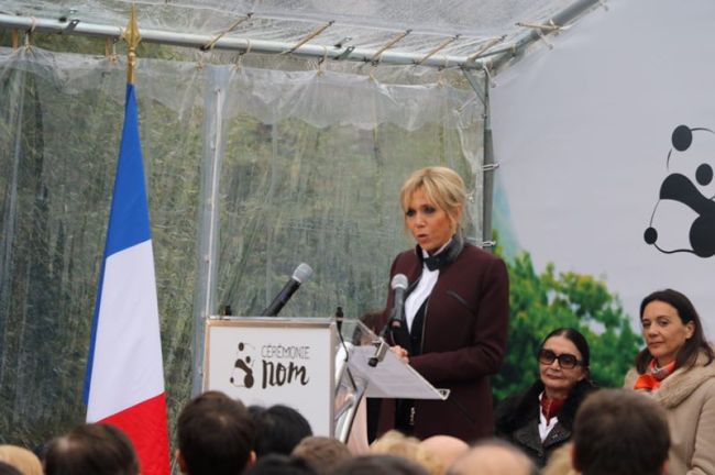 Brigitte Macron, wife of French President Emmanuel Macron, revealed the name of the panda baby at a zoo in central France on Monday. [Photo: China Plus]