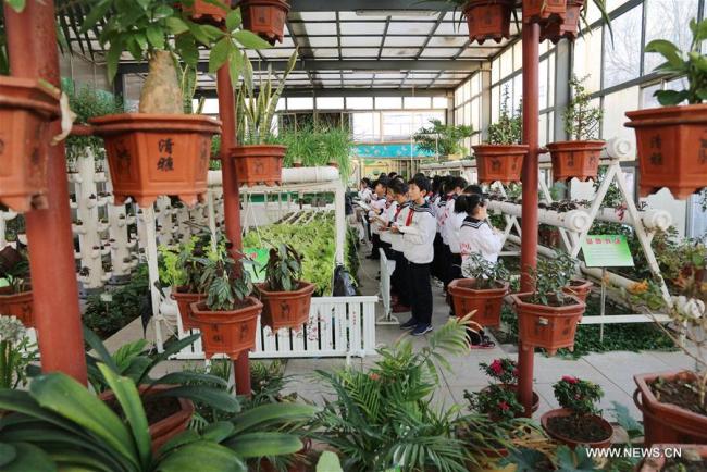 山东一学校建植物生态馆 Botanic pavilion built at school in China's Shandong