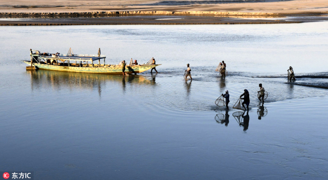 Indian fishermen with their fishing implements catch fish in shallow waters of the Brahmaputra River in Morigaon district of Assam, India, on December 5, 2017. [File Photo: IC]