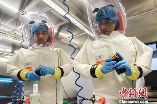 Virologists read data on a container for viral samples at China's first level-four biosafety lab at the Institute of Virology in Wuhan, Hubei Province. [File Photo: Chinanews.com/Xiao Yuzhou]