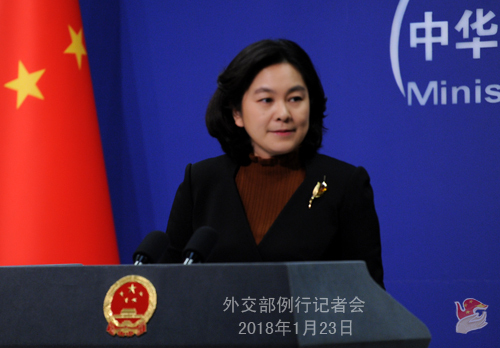 File photo of Chinese Foreign Ministry spokesperson Hua Chunying. [Photo: Chinese Foreign Ministry]