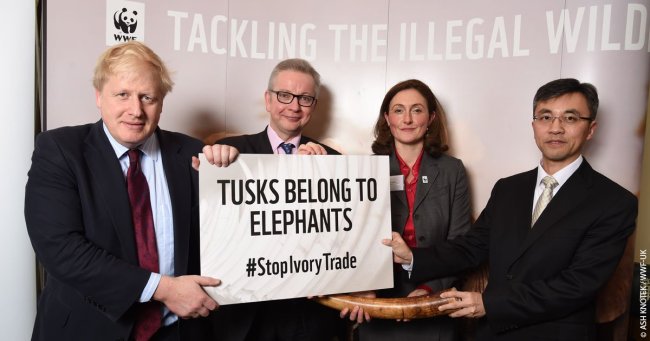 Chinese and UK officials call for all-round efforts to stop the ivory trade. [Photo provided by WWF UK to China Plus]