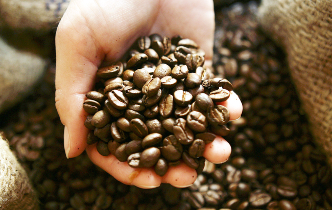 File photo of coffee beans [Photo: AP]