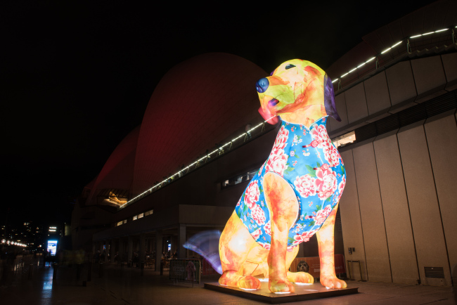 An eight-meter-tall animated dog lantern at the Sydney Opera House, designed by Chinese Australian artist Song Ling [Photo: China Plus Zhang Qizhi]
