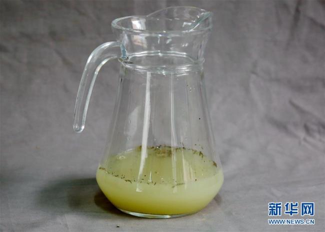 The liquor unearthed from a Qin Dynasty tomb. [Photo: Xinhua]