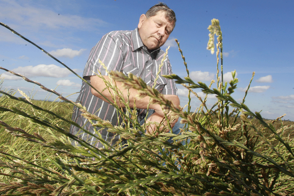 Oregon grass seed growers keep close watch on U.S.China trade friction