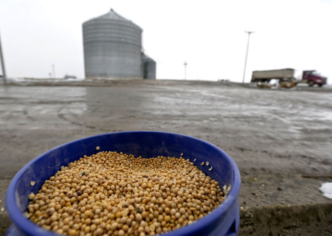 A bucket of yelllow soybeans is shown as a truck rolls by Deerfield Farms Service on Thursday, April 5, 2018, at the facility in Volant, Pennsylvania.[Photo: AP/Keith Srakocic]