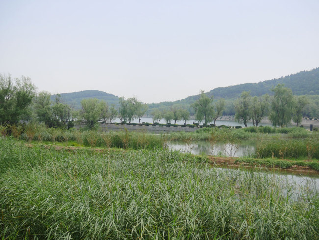The photo shows a wetland park near the Yanshan Petrochemical Company in suburban Beijing, May 25, 2018. [Photo: China Plus/Luo Dan] 