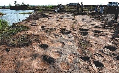 Dinosaur footprints in Tancheng, Shandong Province [Photo: Beijing News]