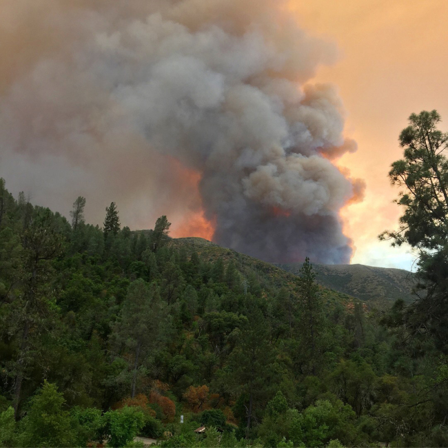 The Ferguson Fire burns near Yosemite National Park on Sunday, July 15, 2018, as seen from El Portal, Calif. [Photo: AP/Carrie Anderson]