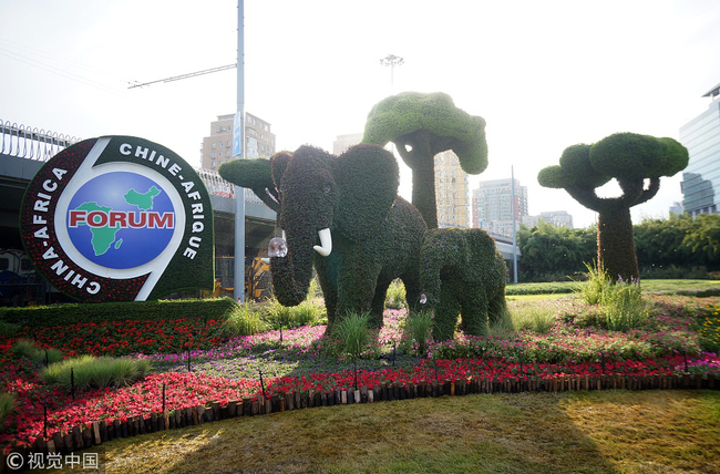 Plant sculptures for the 2018 Beijing summit of the Forum on China-Africa Cooperation in Beijing on August 21, 2018 [Photo: VCG]