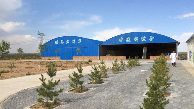 A photo shows the feed processing building of the ecological pasture in Yanchi County, northwest China's Ningxia Hui Autonomous Region. [Photo: China Plus/ Lv Mou]
