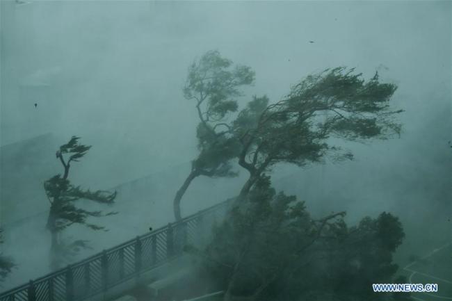 Photo taken on Sept. 16, 2018 shows trees in the wind on the seaside in Hong Kong, south China. [Photo: Xinhua]