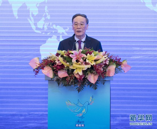 Chinese Vice President Wang Qishan [File photo: Xinhua]