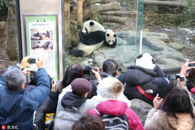 People view Xiang Xiang and her mother, Shin Shin at Tokyo's Ueno Zoo, Japan on Feb 1, 2018. [Photo/IC]