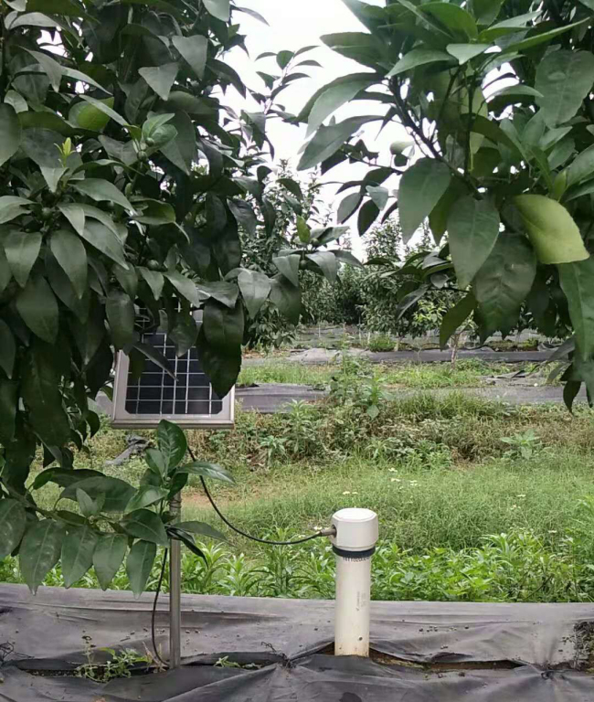 An intelligent device for collecting soil data is installed at Haisheng citrus orchard in Laibin, Guangxi Zhuang Autonomous Region. [Photo provided to China Plus]