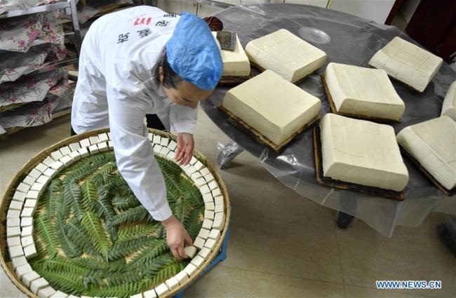Local resident Yi Yinjie arranges fresh tofu to let them ferment and grow mildew in Zhushan Township of Xuan'en County in Enshi Tujia and Miao Autonomous Prefecture, central China's Hubei Province, Nov. 24, 2018.(Xinhua/Song Wen)
