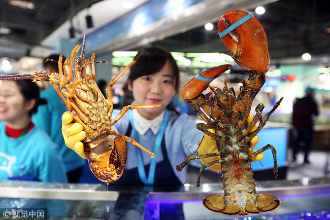 A seafood store in Hangzhou, Zhejiang province, is seen selling imported Boston lobsters on January 18, 2018. [Photo: VCG]