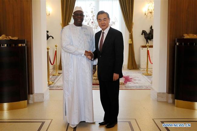 Senegalese President Macky Sall (L) meets with Chinese State Councilor and Foreign Minister Wang Yi in Dakar, Senegal, on Jan. 6, 2019. [Photo: Xinhua]