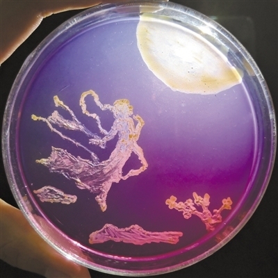 One of the works grown by the students using bacteria. [File Photo: Science and Technology Daily]