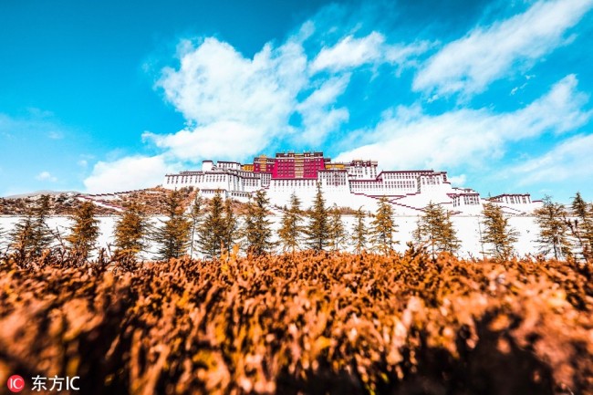 A view of the Potala Palace in Lhasa on January 1, 2019. [Photo: IC]