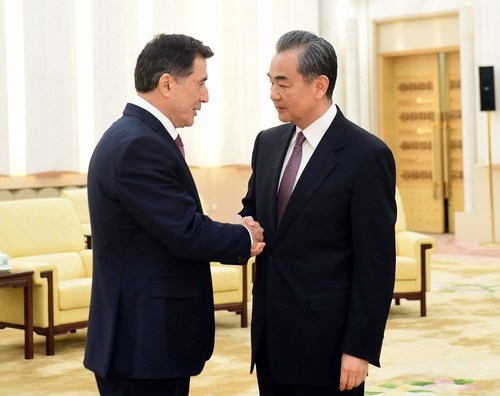Chinese State Councilor and Foreign Minister Wang Yi meets with Vladimir Norov, the newly appointed secretary general of the Shanghai Cooperation Organization (SCO), on Friday, Feb. 15, 2019.[Photo: fmprc.gov.cn]