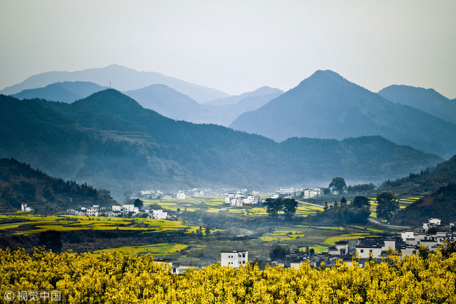 A view of a beautiful scene in Wuyuan, Jiangxi Province. [File photo: VCG]