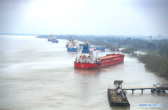 Cargo ships are anchored on the waters of Mississippi river in Louisiana, the United States, March 2, 2019. The Southeastern U.S. state of Louisiana has benefited from its collaboration with Chinese businesses and expects to see a closer partnership, Don Pierson said. [Photo: Xinhua]