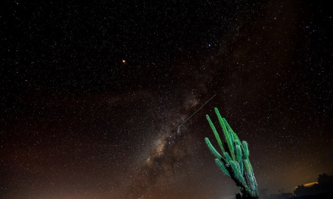 View of a prickly pear and the Milky Way in the sky over the Tatacoa Desert, in the department of Huila, Colombia, on October 11, 2018. [File Photo: AFP]
