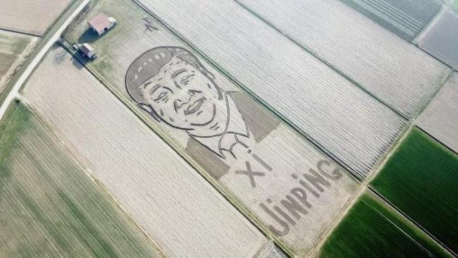 The portrait of President Xi Jinping created by Italian artist Dario Gambar on a farm in the city of Verona in Italy. [Photo: China Plus]