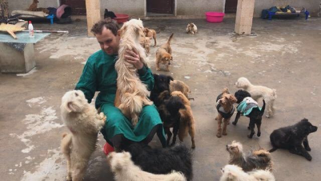 British teacher George James with dogs he rescued at the George's Shelter where he has kept more than 100 stray dogs in the suburban district of Hefei, Anhui province, in March, 2019. [Photo: Xinhua]