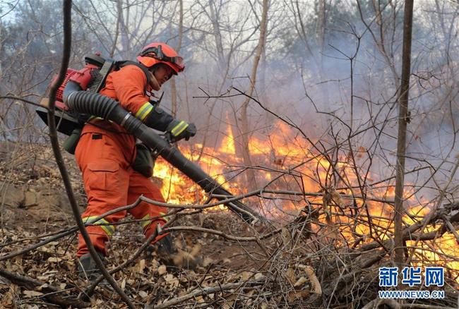 A forest fire fighter tries to put out the blaze at Yaji Mountain in Beijing's Pinggu District. The blaze started on a mountain in Miyun District on the northern outskirts of the city at around 12:23 p.m. on Saturday before spreading to Pinggu District at about 1 p.m. due to strong winds. [Photo: Xinhua]