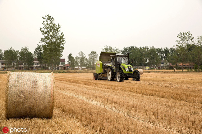 A tractor collects wheat straw in the city of Huai'an, Jiangsu Province, June 5, 2017. [File photo: IC]