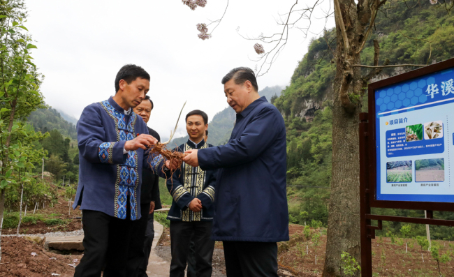 Chinese President Xi Jinping talks with a villager to learn about the progress of poverty alleviation and in solving prominent problems including meeting the basic need of food and clothing and guaranteeing compulsory education, basic medical care and safe housing, in Huaxi Village of Shizhu Tujia Autonomous County, southwest China's Chongqing, April 15, 2019. [Photo: Xinhua]