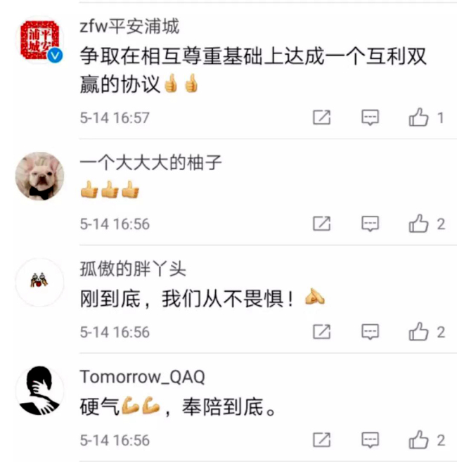 A screen shot showing some comments from Chinese netizens on the CCTV editorial. [Photo: China Plus]