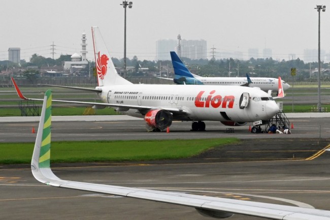Lion Air and Garuda Indonesia planes at the Sukarno-Hatta International Airport in Tangerang, on the outskirts of Jakarta, November 27, 2018. [Photo: AFP/Adek Berry]