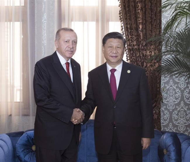 Chinese President Xi Jinping (R) meets with his Turkish counterpart Recep Tayyip Erdogan in Dushanbe, Tajikistan, June 15, 2019. [Photo: Xinhua]