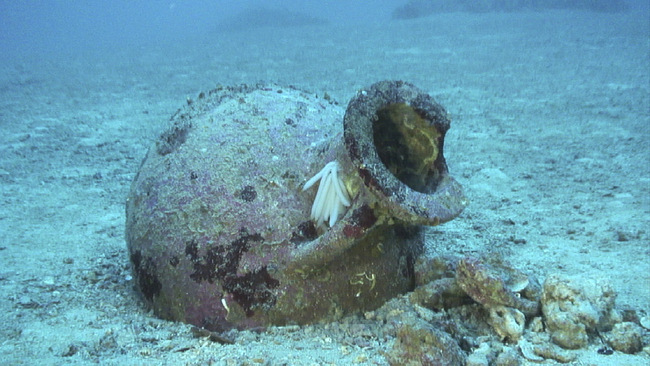 In this undated photo provide by PRM Nautical Foundation on Friday, July 12, 2019, an amphora which dates from between the 7th and 5th centuries BC stands underwater near the shores of the Karaburun peninsula, Albania. A joint Albanian - American underwater archaeological team said they have found 22 amphoras that are at least 2,500 years old off the Albanian coast, which might yield an ancient shipwreck. [Photo: AP]