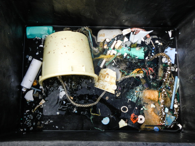 Plastic samples collected from the Great Pacific Garbage Patch. [File Photo: IC] 