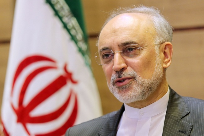 Ali Akbar Salehi, the head of the Atomic Energy Organization of Iran. [File Photo: IC]