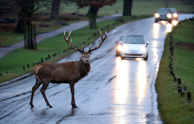 [File Photo: HANNAH MCKAY/Reuters via VCG]