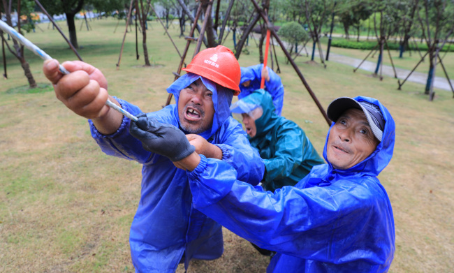 Gardeners are strengthening the protection of trees against the upcoming typhoon Lichma in Zhoushan, Zhejiang Province on August 9, 2019. [Photo: IC]