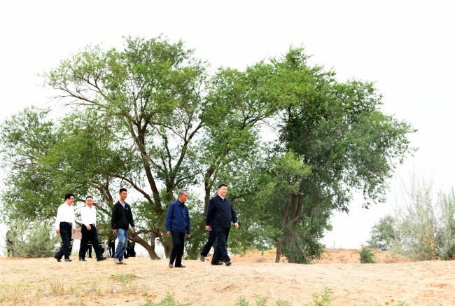 Chinese President Xi Jinping, also general secretary of the Communist Party of China Central Committee and chairman of the Central Military Commission, inspects the Babusha Forest Farm, an afforestation program in a desert area of Gansu, where he learns about the latest developments in desertification control and environmental protection, in Gulang County of Wuwei City, northwest China's Gansu Province, Aug. 21, 2019. [Photo: Xinhua/Xie Huanchi]